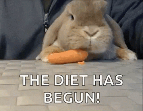 the diet has begun