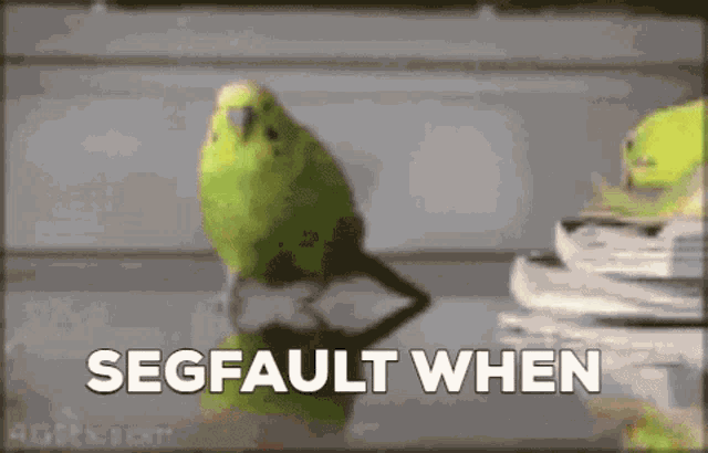 segfault